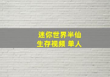 迷你世界半仙生存视频 单人